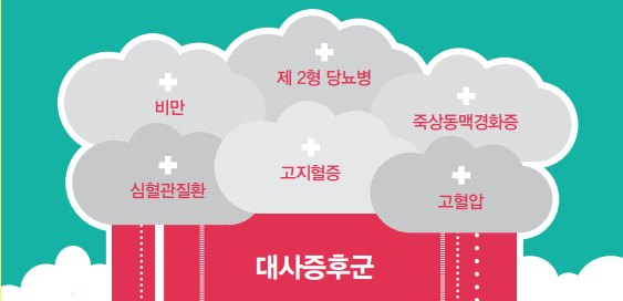 대사증후군 인슐린저항증후군