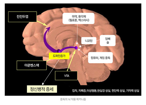 도파민 중독 기전