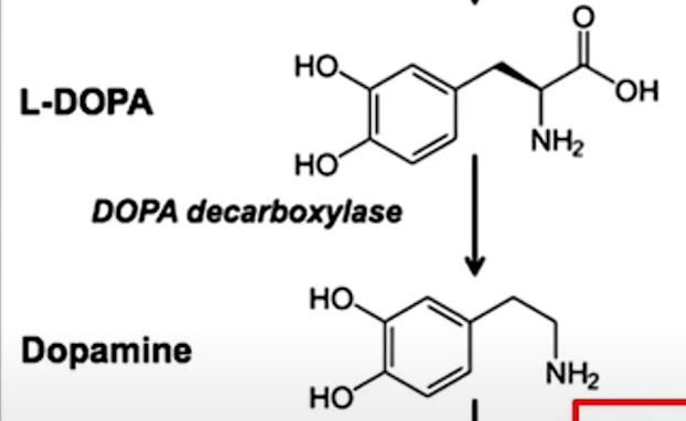 도파민 구조