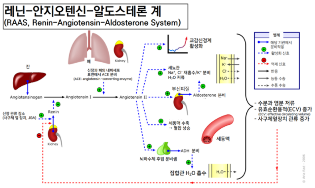 소금과 레닌