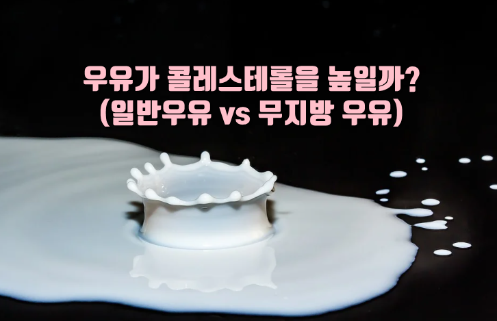 우유 콜레스테롤 논문결과
