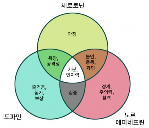 도파민, 세로토닌, 노르에피네프린