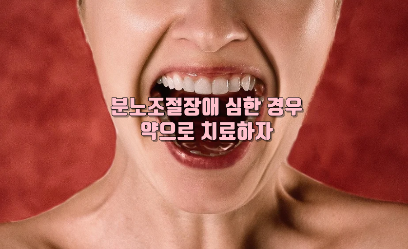 분노조절장애 치료