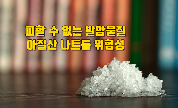 아질산 나트륨, 아질산염
