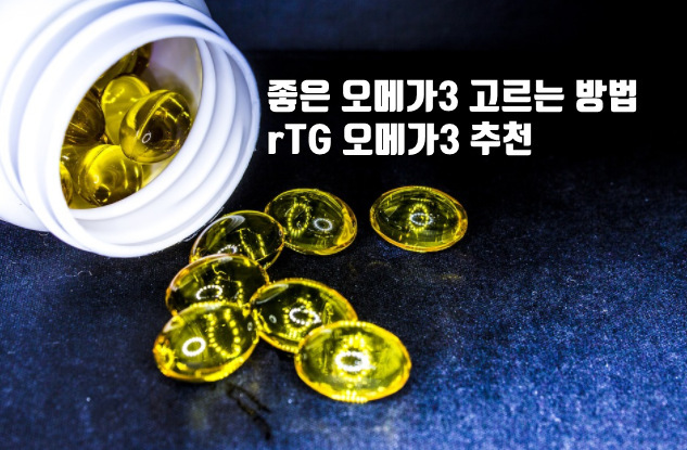 오메가3 추천