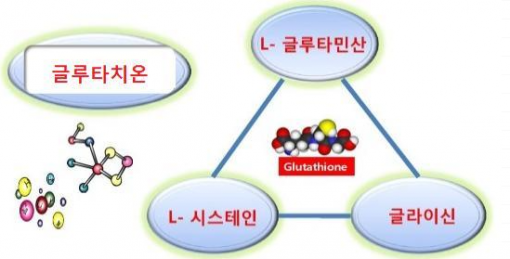 글루타치온 피부 미용