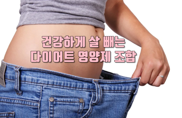 다이어트 보조제