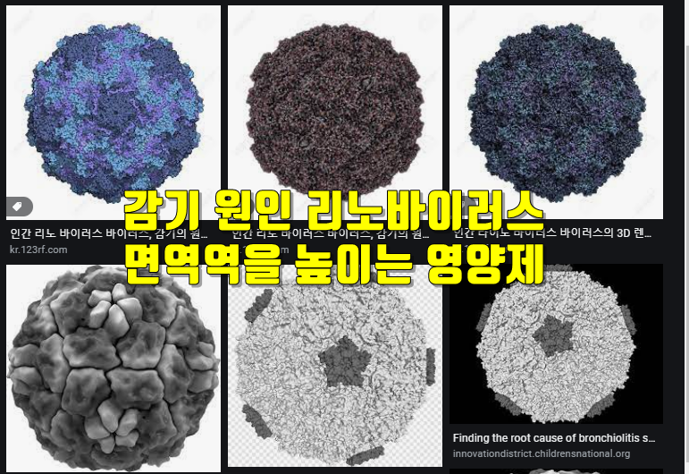 감기에 좋은 영양제