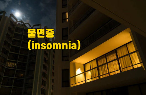 불면증 수면장애 영양제