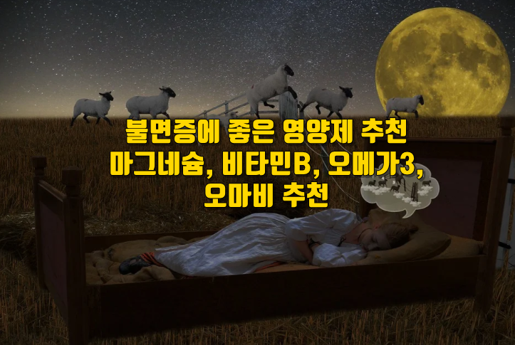 불면증 영양제