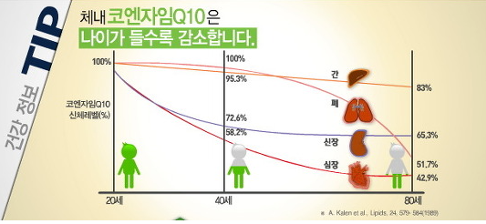 코엔자임 큐텐 효과