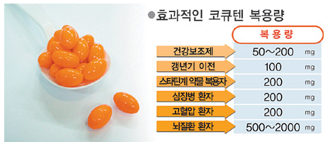 코엔자임 큐텐 복용량