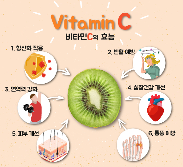 항산화 끝판왕 비타민C 메가도스 요법 효과와 복용량 항산화 끝판왕 비타민C 메가도스 요법 효과와 복용량