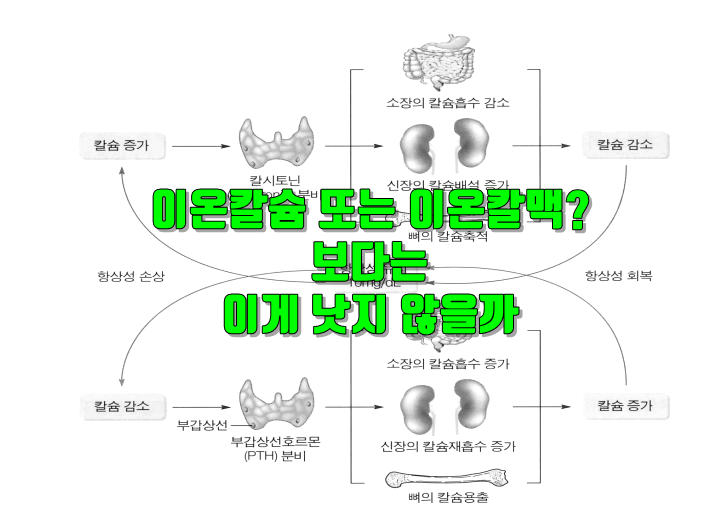 이온칼맥 숀리 칼슘 마그네슘